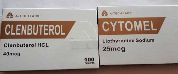 2019년 3월 25일 이탈리아 쿠네오