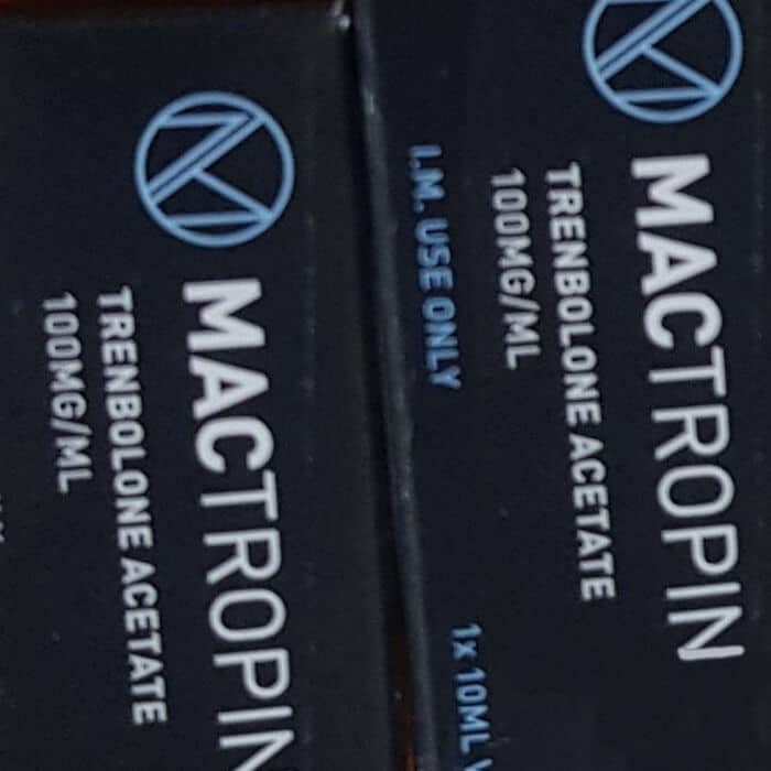 2019년 10월 8일 벨기에 브뤼셀