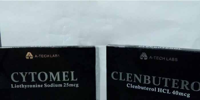 2019년 11월 4일 프랑스 올드 콩데