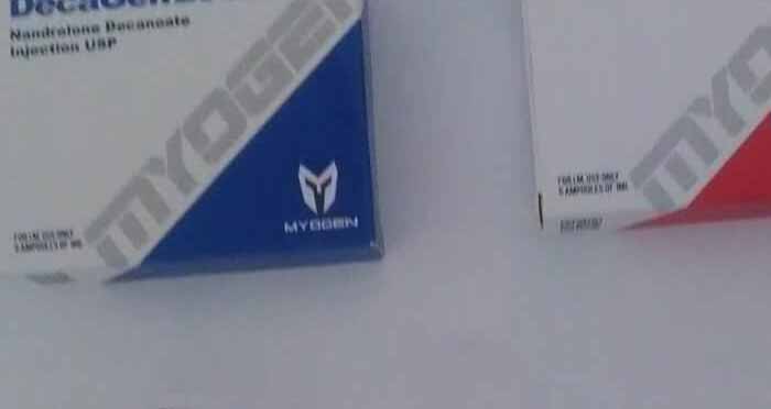 2019년 11월 13일 VAULX EN VELIN 프랑스