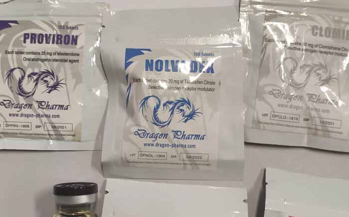 2019년 11월 19일 프랑스 파리