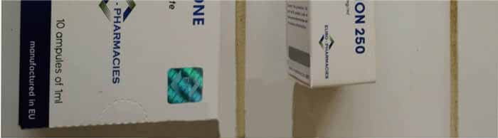 2019년 11월 22일 프랑스 미라마