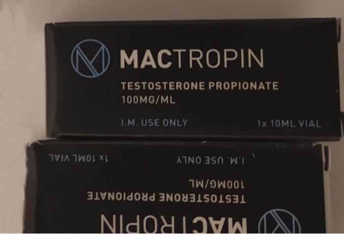 2019년 12월 17일 프랑스 알비