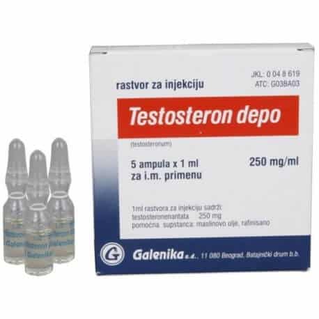 갈레니카 테스토스테론 데포 250mg 5amp.jpg