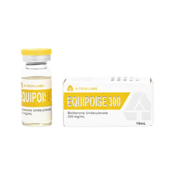 EQUIPOISE300 테크랩스