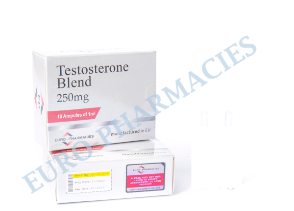 테스토스테론 블렌드 250mg 유로 앰플