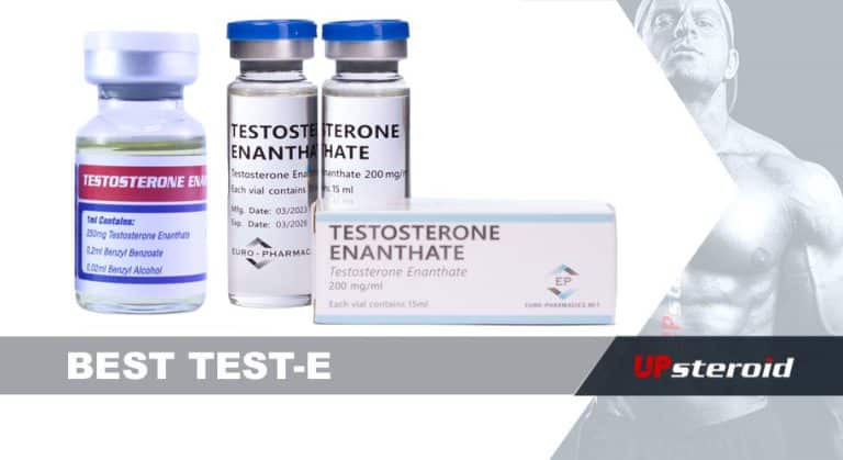 최고의 테스트 e up