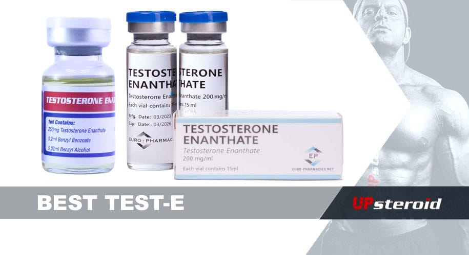 최고의 테스트 e up