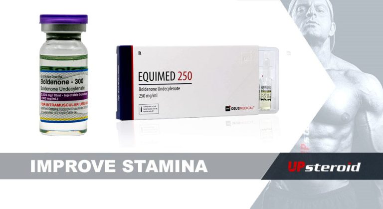 체력을 향상시키세요