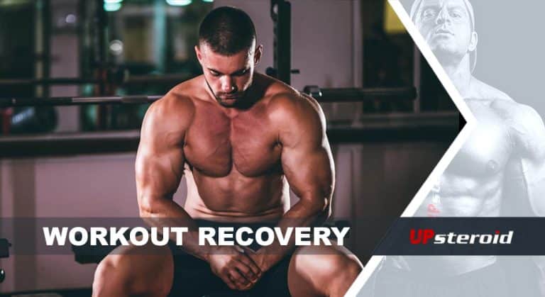 체중 증가 기간