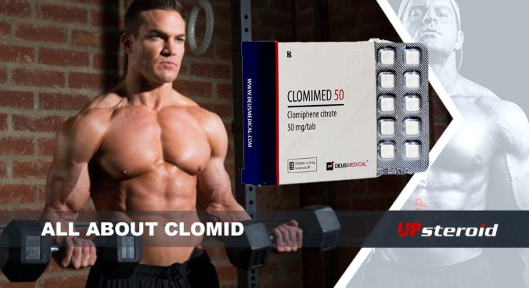 클로미드에 대한 모든 것 UP