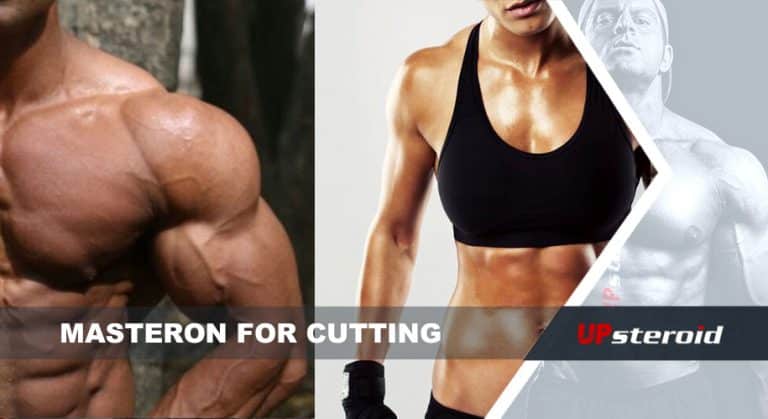 마스테론 커팅(1)