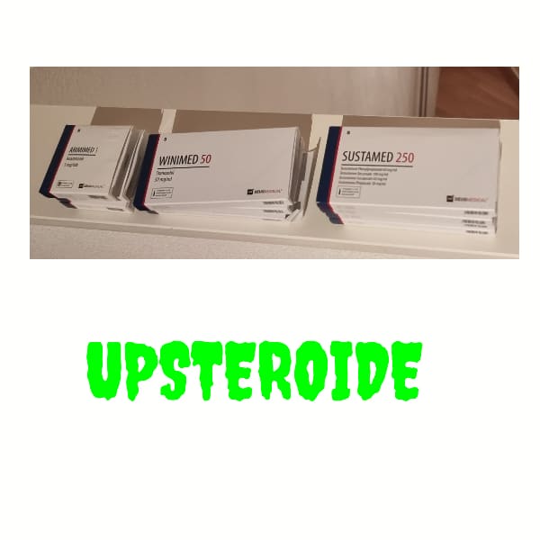 2022 03 17 6233847c2ebbe 로고3 17 195133