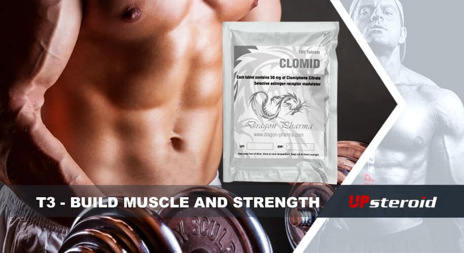 업 블로그 t3 근력 강화