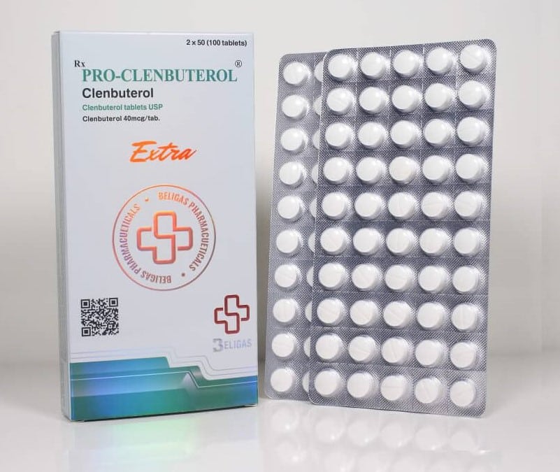 클렌부테롤 (40mcg) 100정 벨리가스(국제)