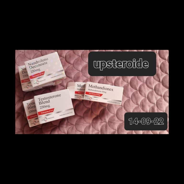 2022 09 14 6321eb87d9508 로고9 14 165445