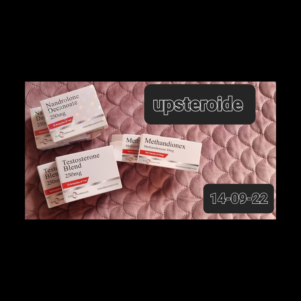 2022 09 14 6321eb87d9508 로고9 14 165445