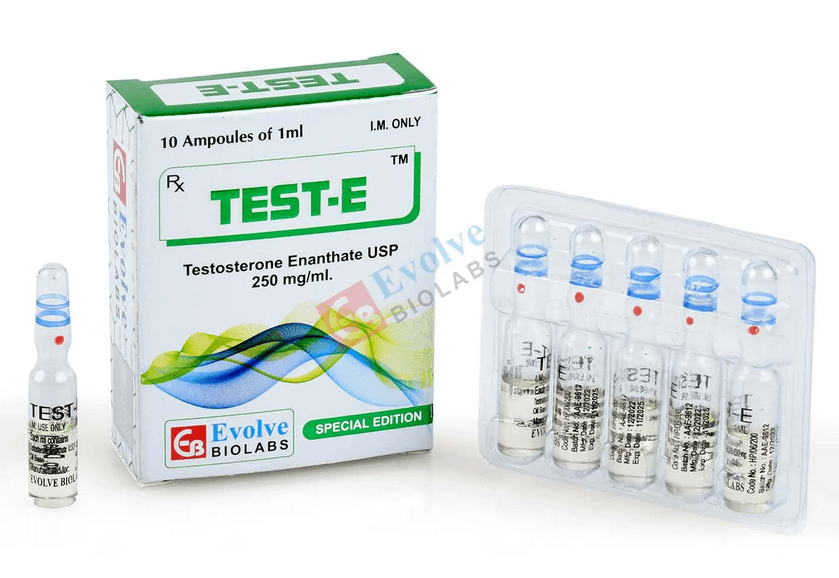 테스토스테론 에난테이트 250mg/ml (1ml 앰플 10개입) - 이볼브 바이오랩스