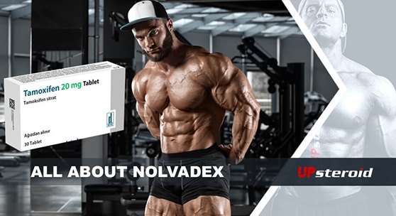 놀바덱스 우편 배송에 대한 블로그 게시물