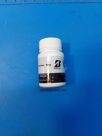 2023 01 10 63bd94e646207 업스테로이드