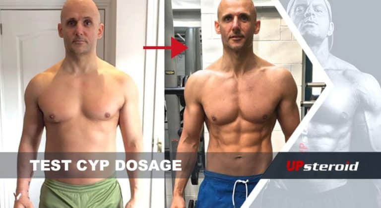 테스트 사이프 복용량에 대한 블로그 정보