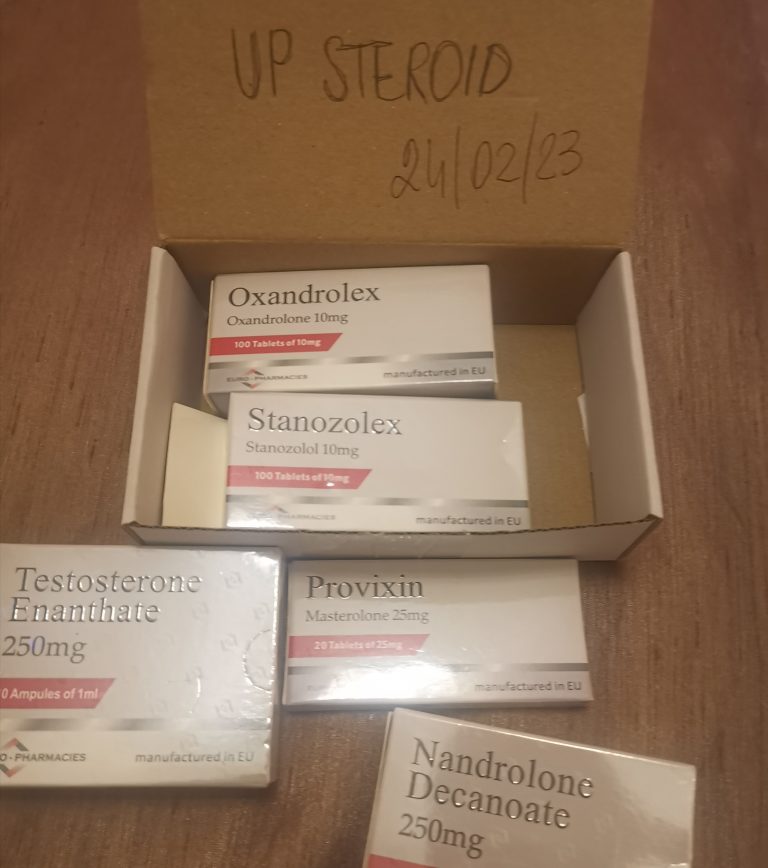 2023 03 01 63ff7316ba3be IMG 20230224 212038 편집 774564250337539