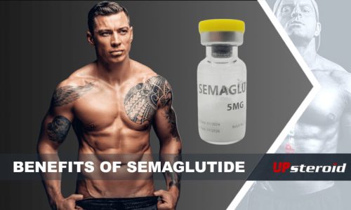 세마글루티드 효능에 대한 블로그 게시물