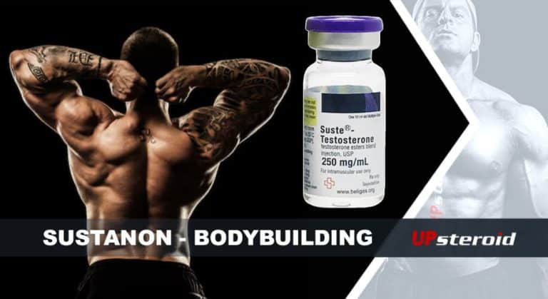 업 블로그 수스타 보디빌딩