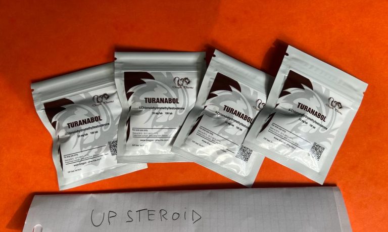 2023 09 08 64fb49f8c8414 텍스트2