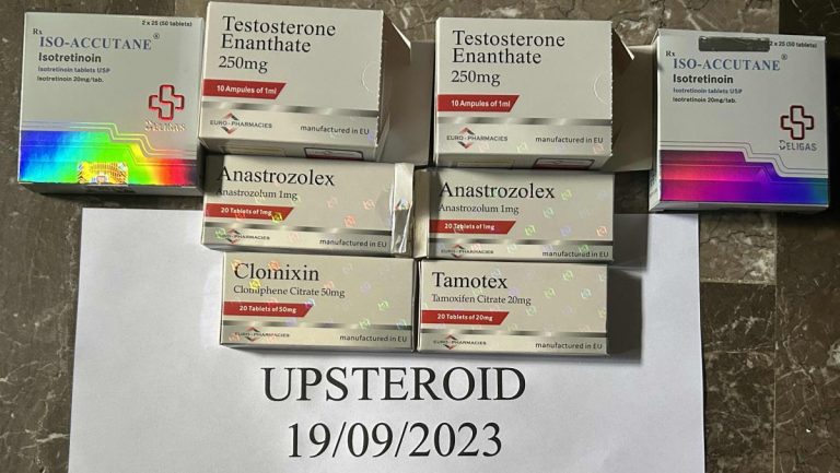 2023년 9월 19일 6509aaee3493f IMG 29651