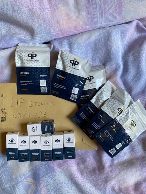 2023 10 09 6523cafb403d8 썸네일 이미지 0839