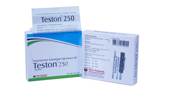 테스톤 250