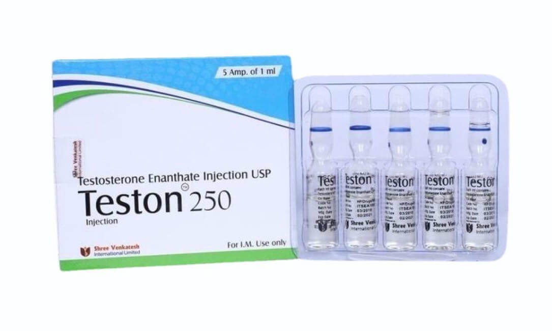 테스톤 - 테스토스테론 에난테이트 250mg/ml (1ml 앰플 5개입) - 슈리 벤카테시