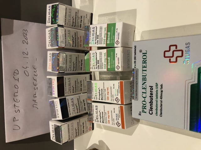 2023 12 08 6572fd6552e42 이미지0