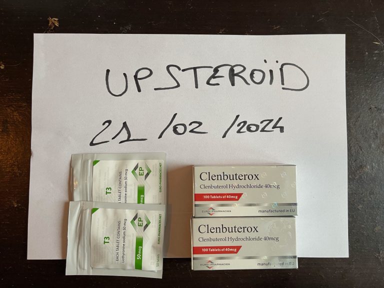 2024 02 21 65d62b8c7742f 이미지0