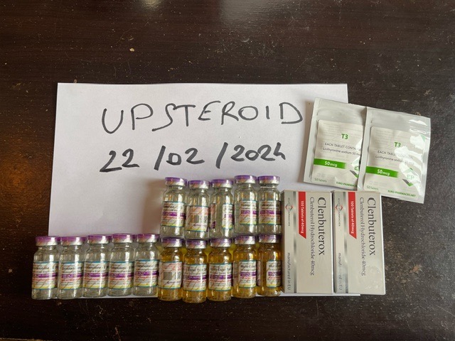 2024 02 22 65d785f66df78 이미지0