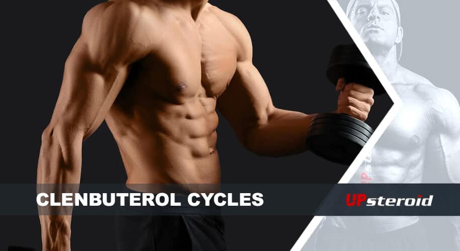 업 블로그 클렌부 사이클