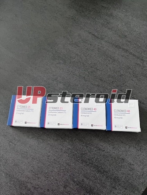 2024 05 25 6652210fbd2fd 썸네일 IMG 5595