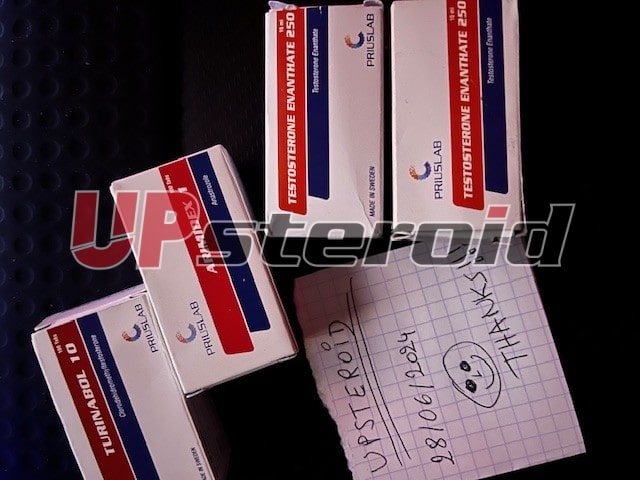 2024 06 30 6681ef9083575 업스테로이드