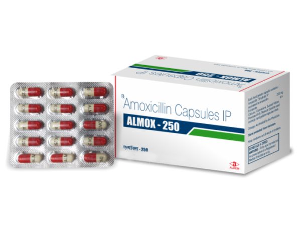 알목스 250mg 알켐