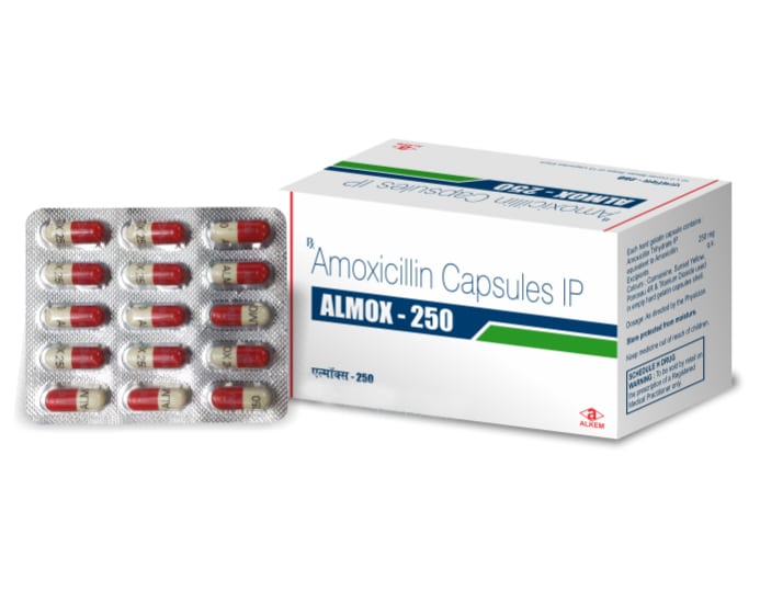 알목스 250mg 알켐