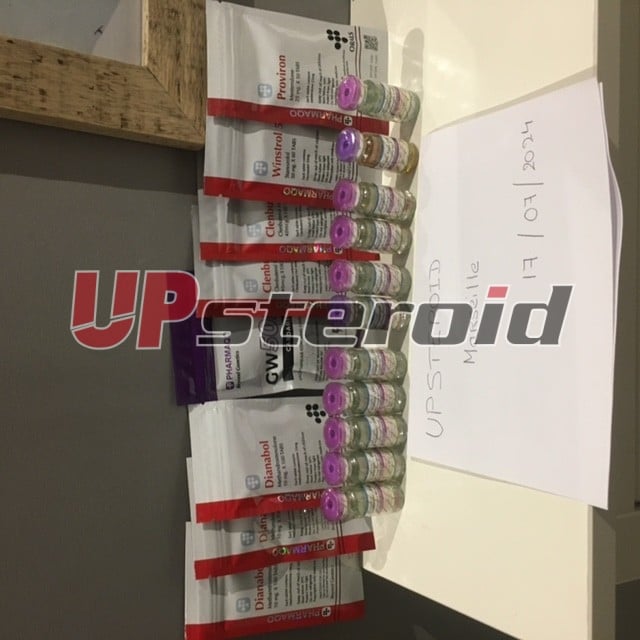 2024 07 22 669ed914d3a3d 이미지0