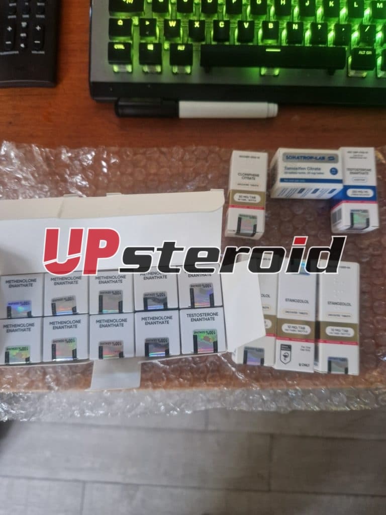 2024 08 03 66ae7e36d8235 썸네일 1000013431