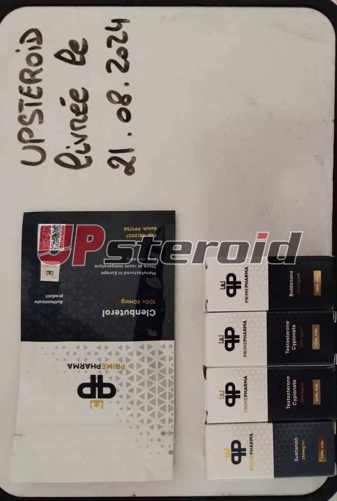 2024 08 22 66c7402cccfb7 메신저 생성 0d43f1c6 18cf 4778 899a 755a60d58aa1