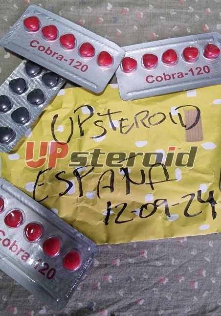 2024 09 12 66e380642c4ba 리터치 2024091301554147