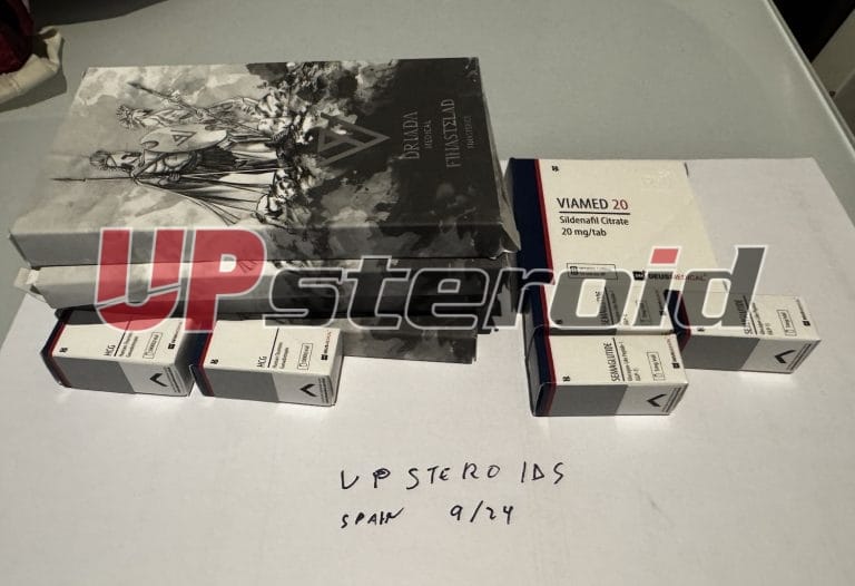 2024 09 16 66e86644ca2b6 사진16 9 24190059