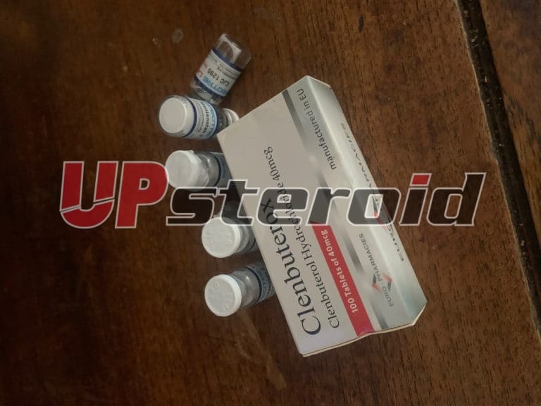 2024 09 23 66f1805e5619f IMG 6173