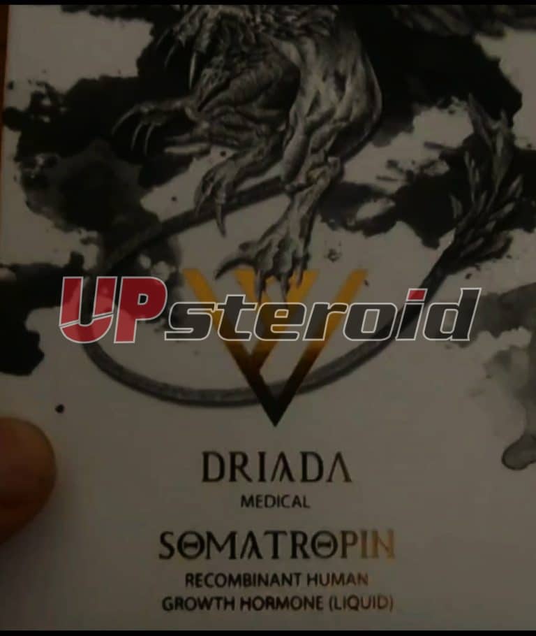 2024 10 19 6714024eade25 스크린샷 20241019 210008 사진