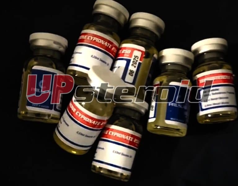 2024 10 19 6714030f55379 스크린샷 20241019 210419 사진