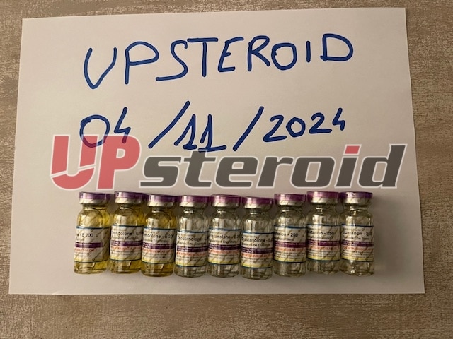 2024 11 04 6728e29c7e2b6 이미지0